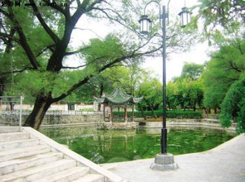 1967_20170906160949_tfsco