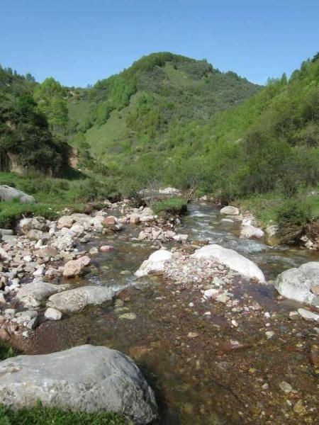 1967_20170711170754_kvqmz