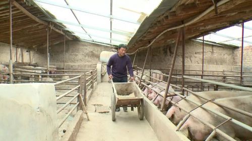 微信图片_20190620090646