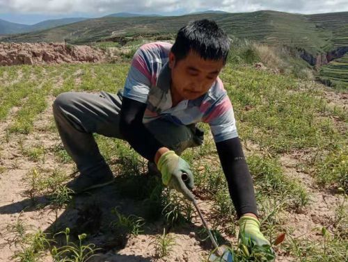 QQ图片20190704145959