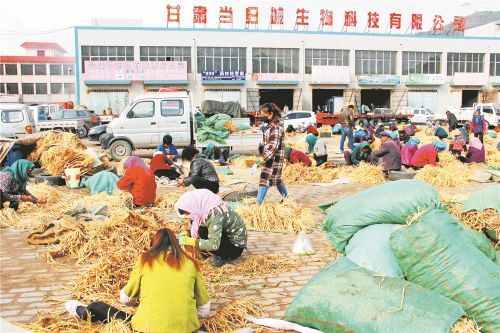 中国当归城交易市场（后斌杰 摄） (1)