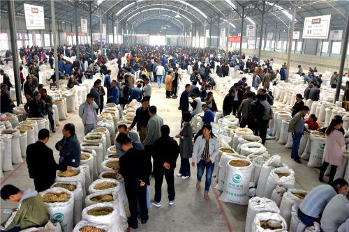 首阳地产药材交易市场