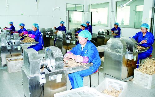 图为群众在当地中医药企业务工