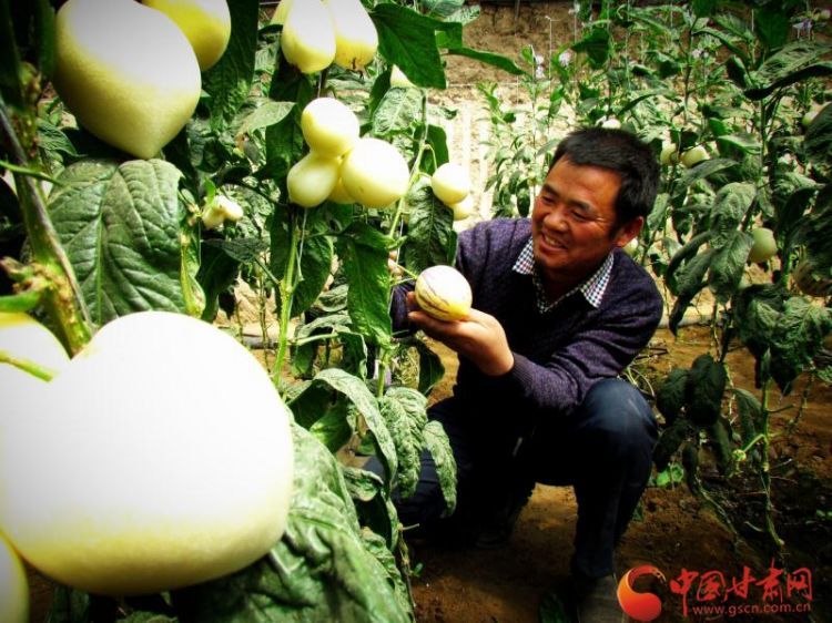 544fc7ab7248431_w800_h600