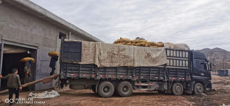 da6e416fb056aba9f7b2230bdd8b39f