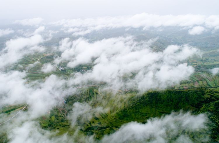 DJI_0272