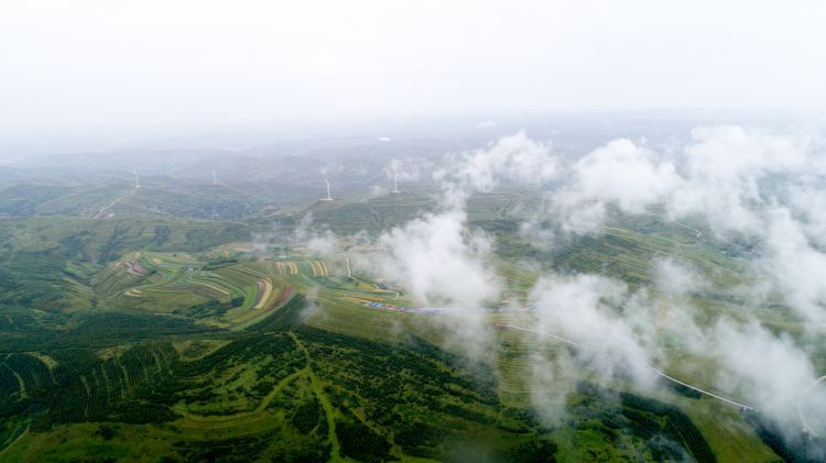 DJI_0286