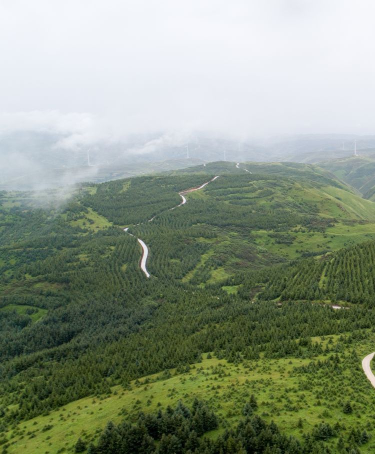 DJI_0313