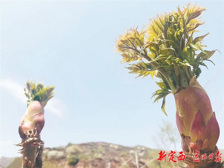 QQ图片20210517160950