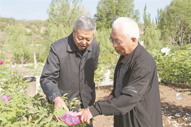 李嘉珏(左)和康仲英(右)在研究牡丹品种