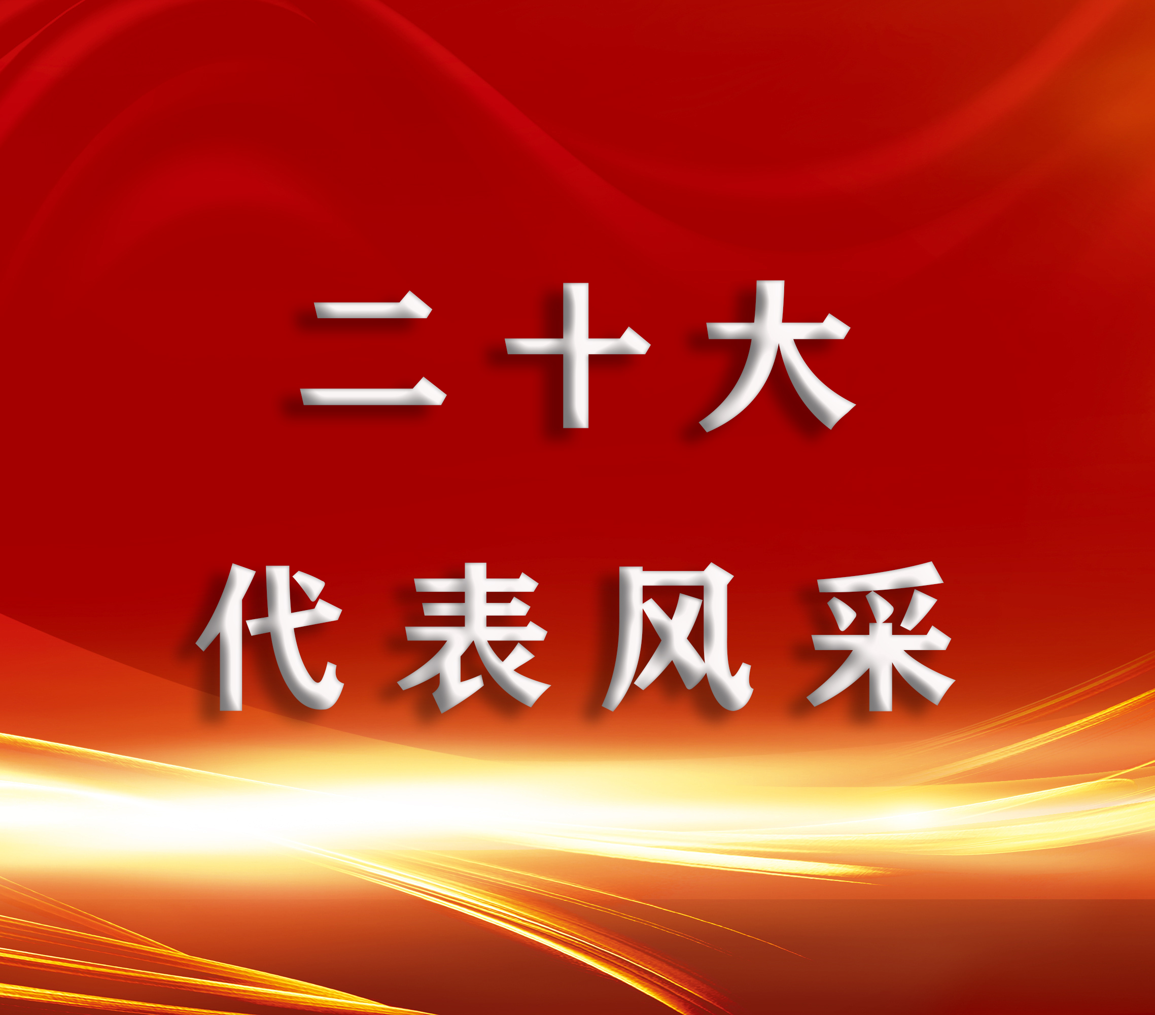 二十大代表风采